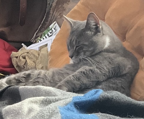 mr trubble siesta.jpg